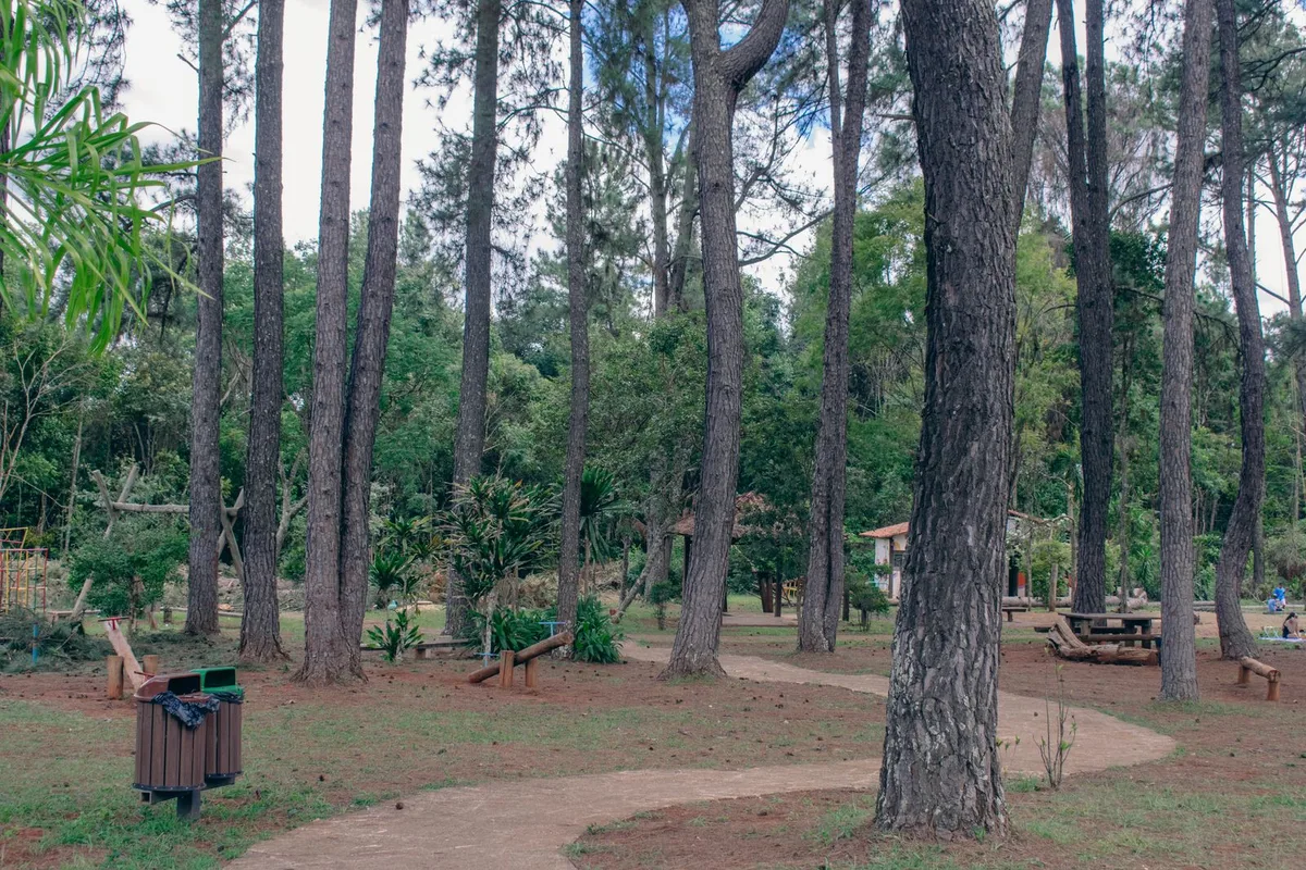 Trilha arborizada em área verde urbana, no estilo do Parque das Mangabeiras, que tem uma de suas entradas dentro do bairro Serra