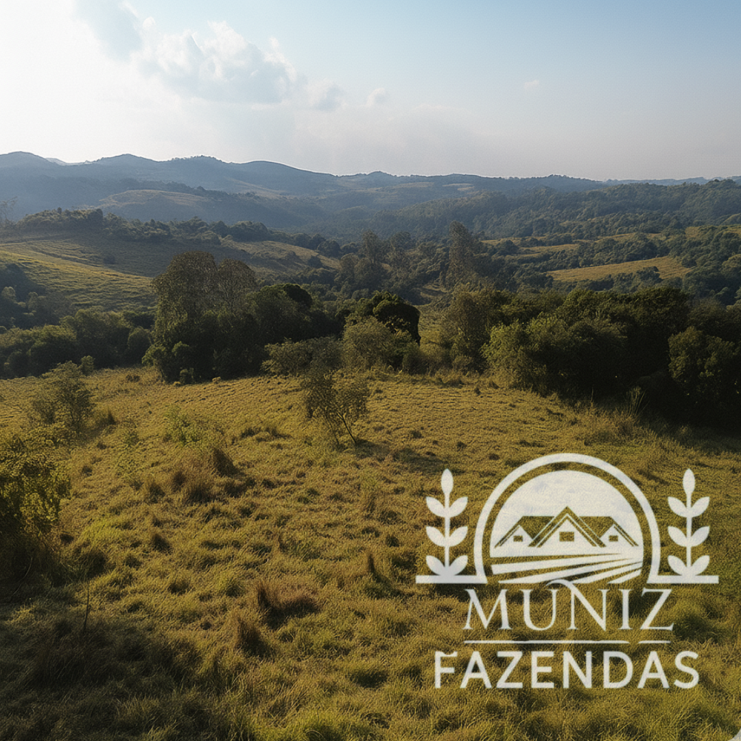 Propriedade em Nepomuceno - 3