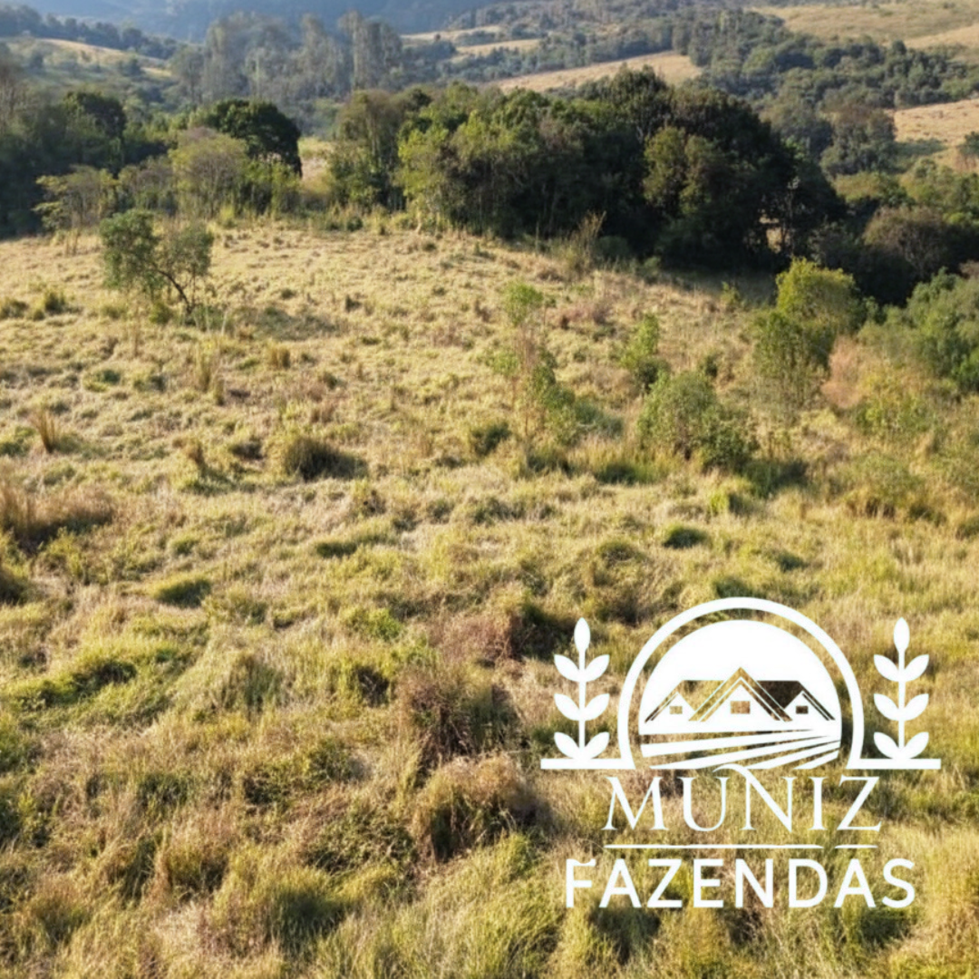 Propriedade em Nepomuceno - 4