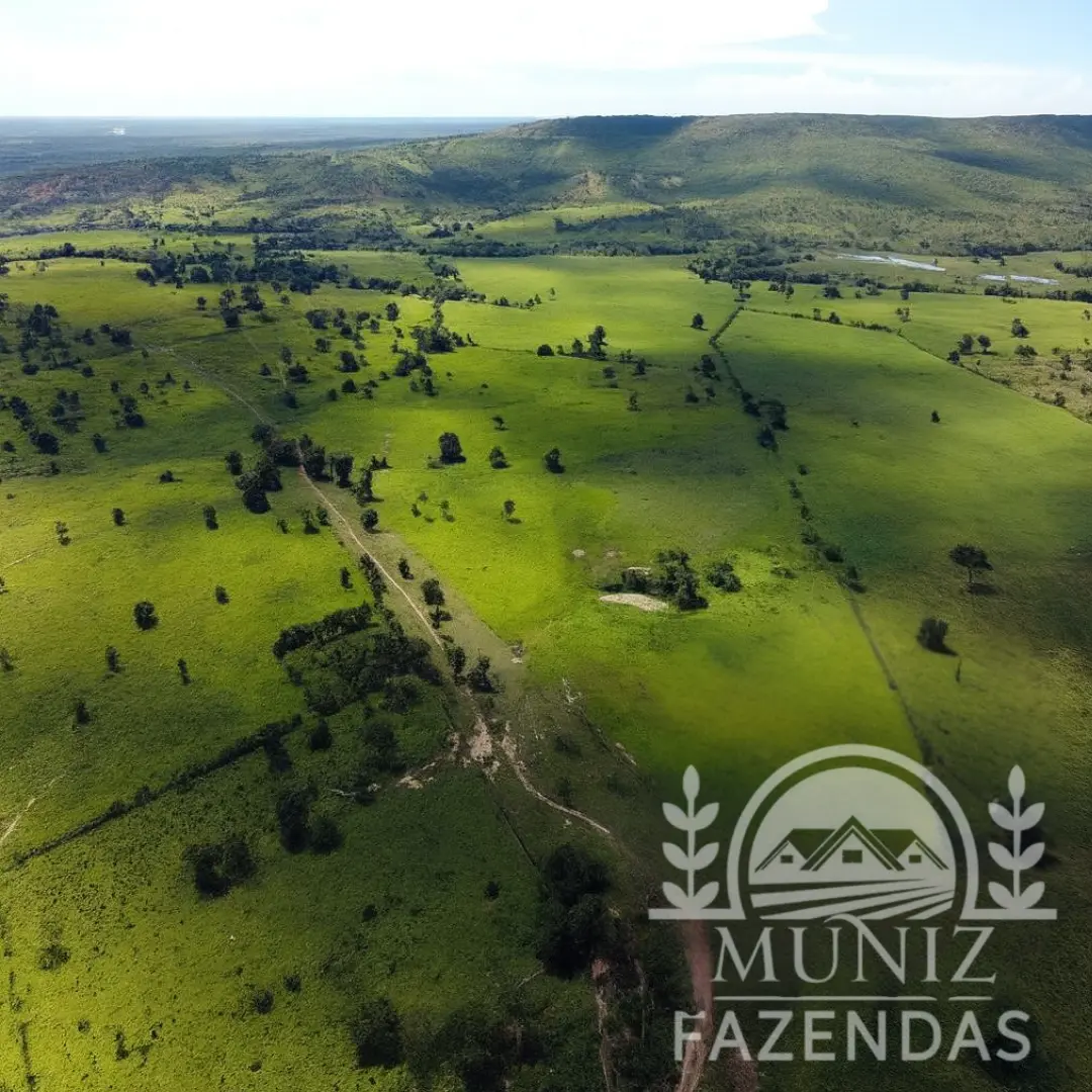Fazenda em Ibiaí