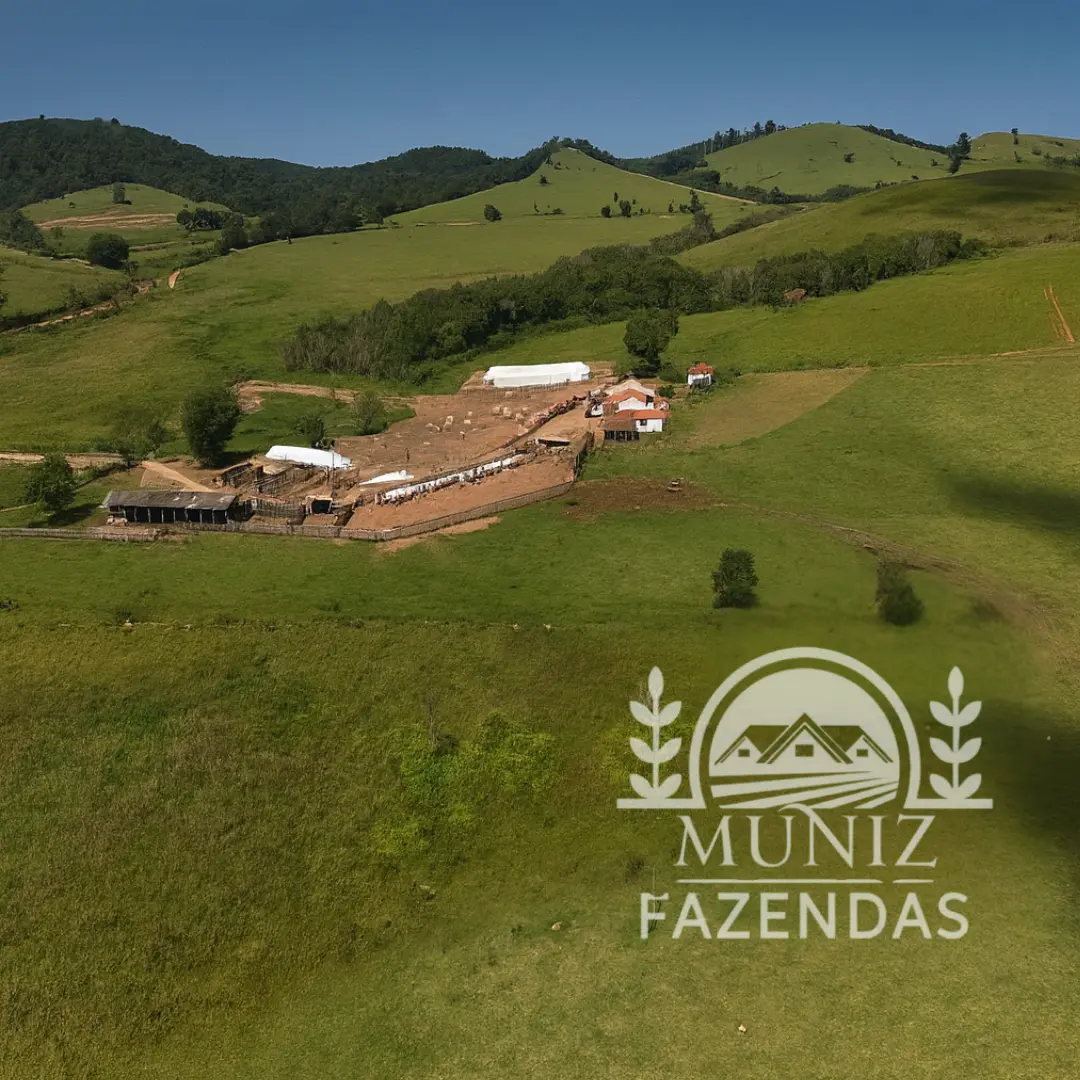 Fazenda em Borda da Mata