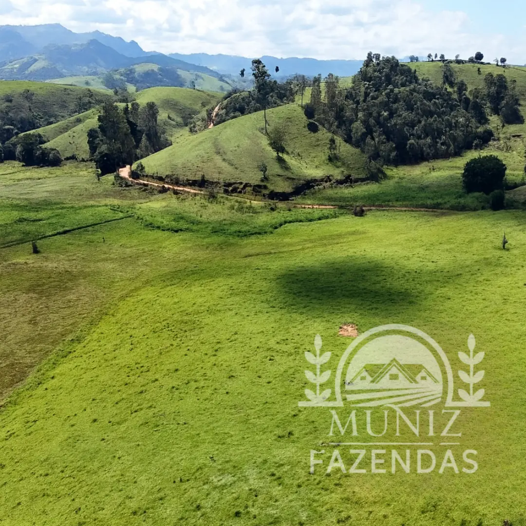 Fazenda em Borda da Mata - 3