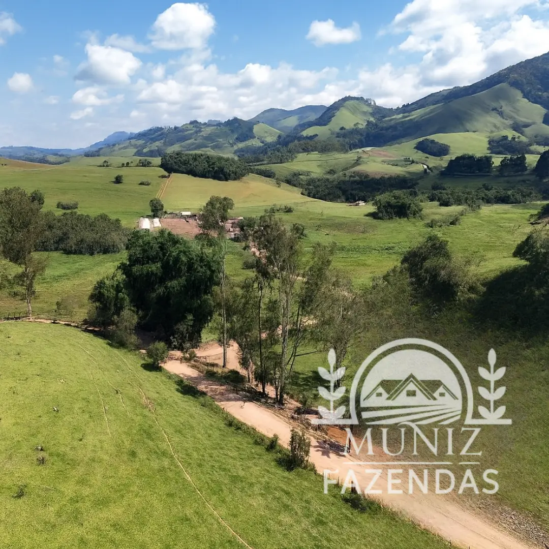 Fazenda em Borda da Mata - 4