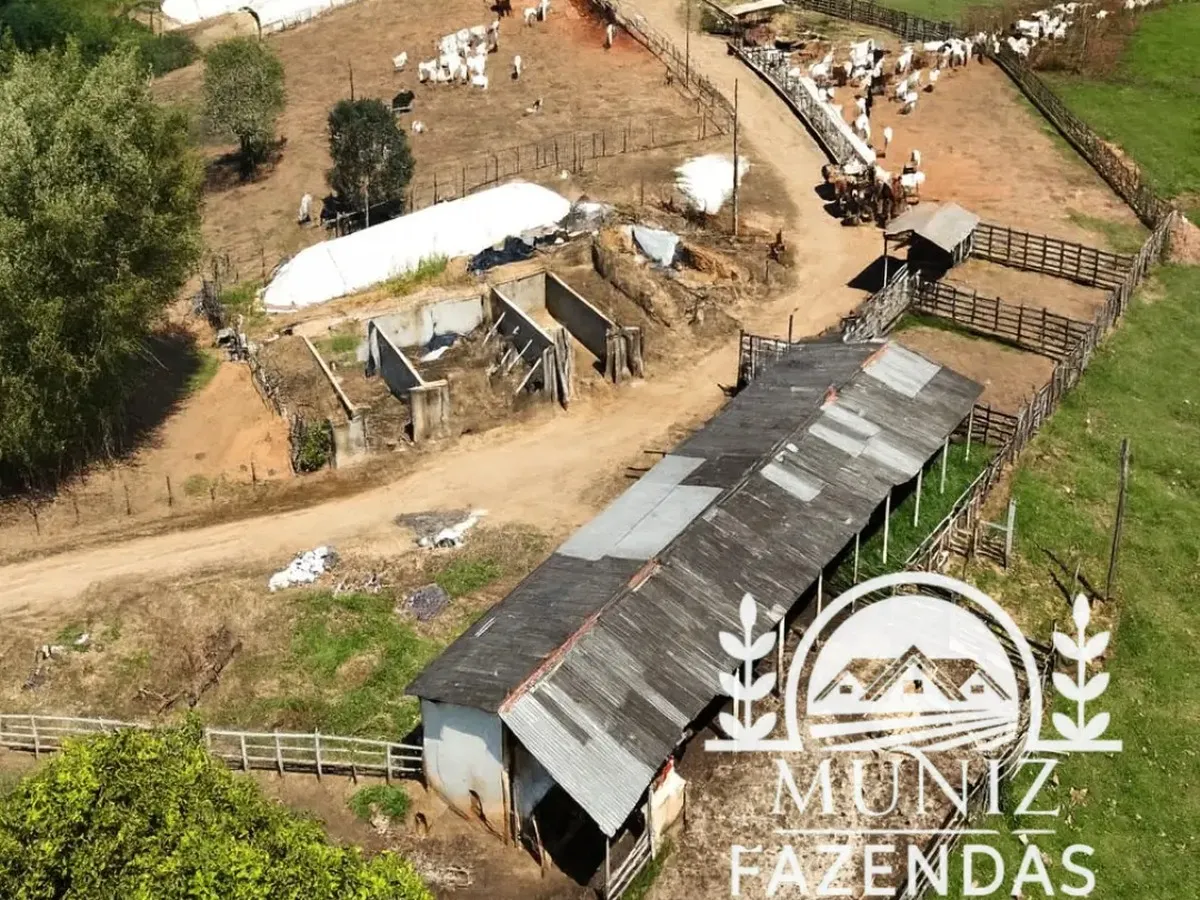 Curral com gado visto do alto na fazenda de Borda da Mata