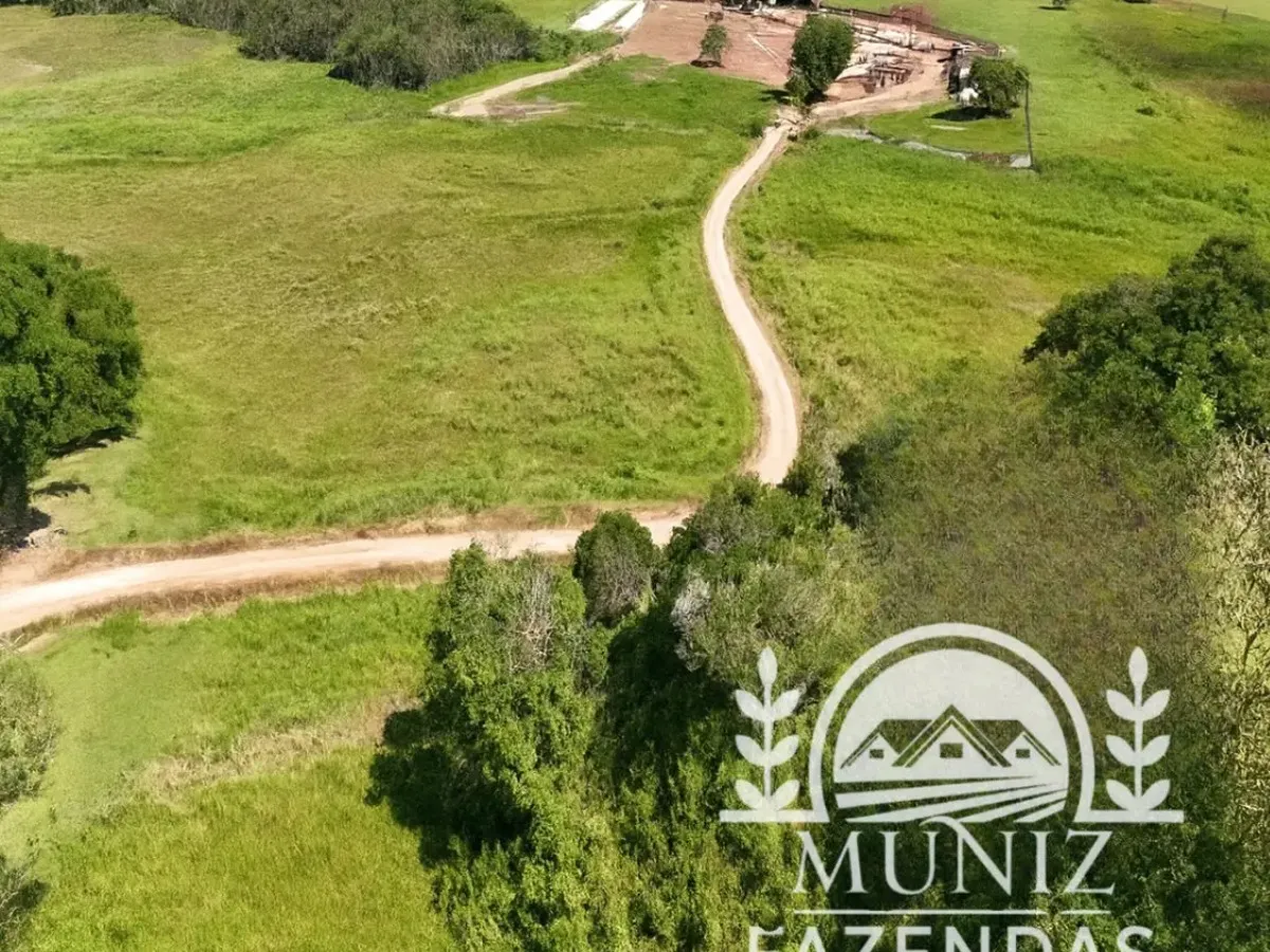 Estrada interna entre as colinas da fazenda de Borda da Mata
