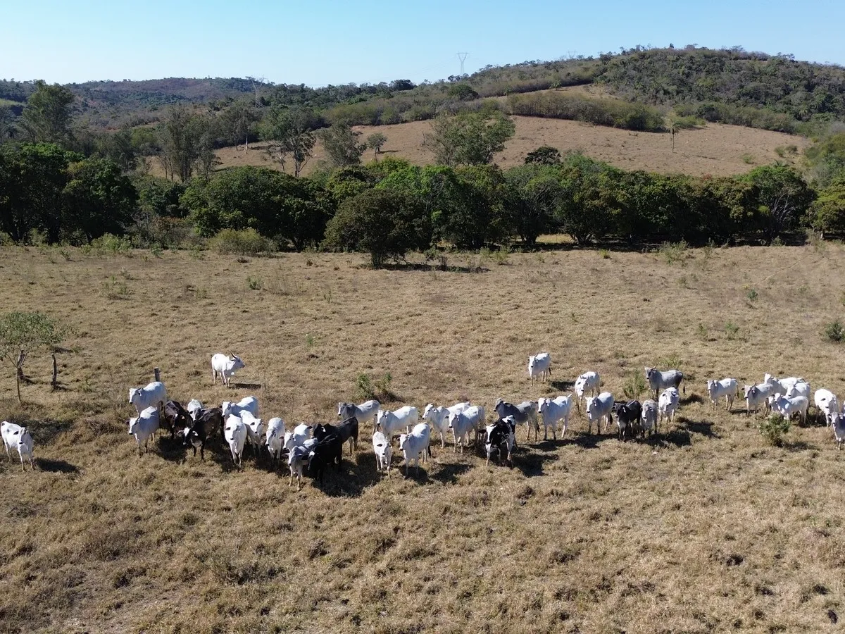 Cód. 139 · Fazenda em Esmeraldas