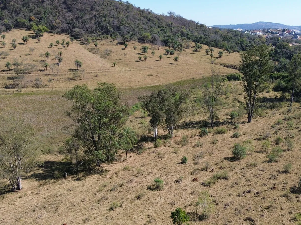 Colinas de pastagem com árvores na fazenda de Esmeraldas