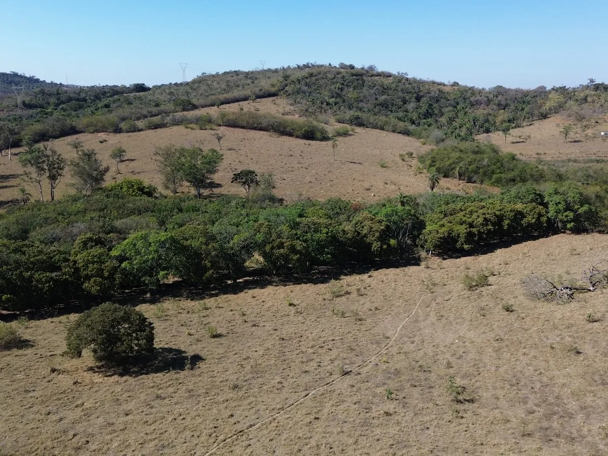 Pastagem aberta com linha de mata na fazenda de Esmeraldas