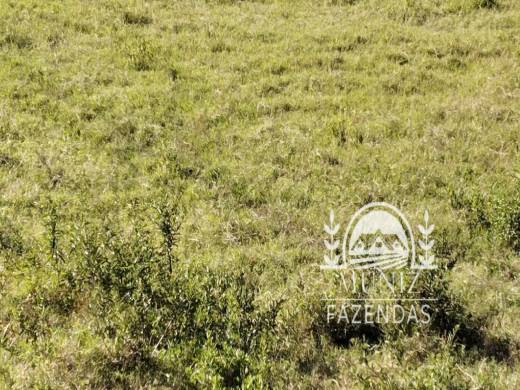 Fazenda em Ibiaí — MG - 2