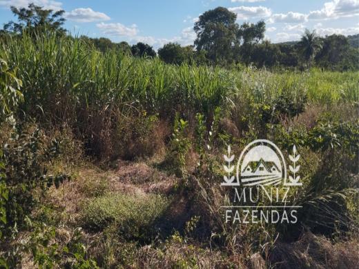 Fazenda em Ibiaí — MG - 4